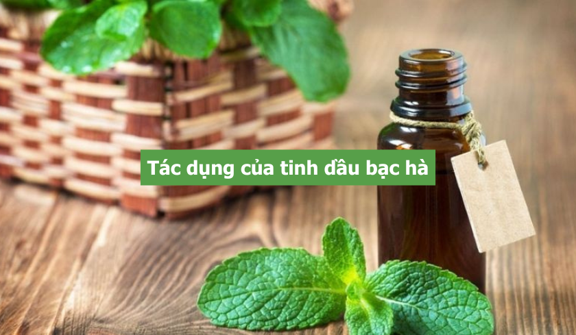 Tac-dung-cua-tinh-dau-bac-ha