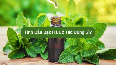 Tinh Dầu Bạc Hà có tác dụng gì